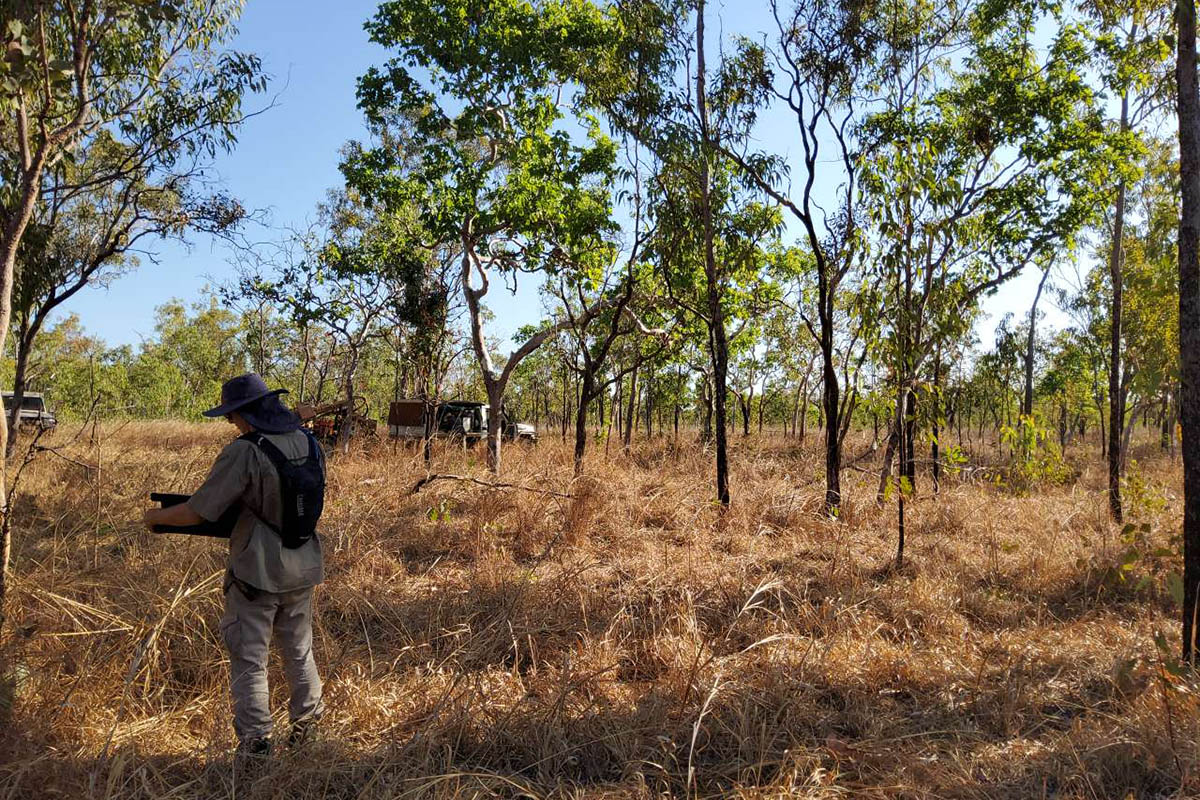 Vegetation is described at a site adjacent to the soil site in the field. The soil and vegetation data is integrated with landscape information to create ecosystem maps.