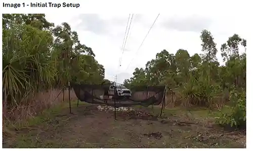 Both the Commonwealth Department of Agriculture, Fisheries and Forestry (DAFF) and NT Parks and Wildlife have approved use of the images.