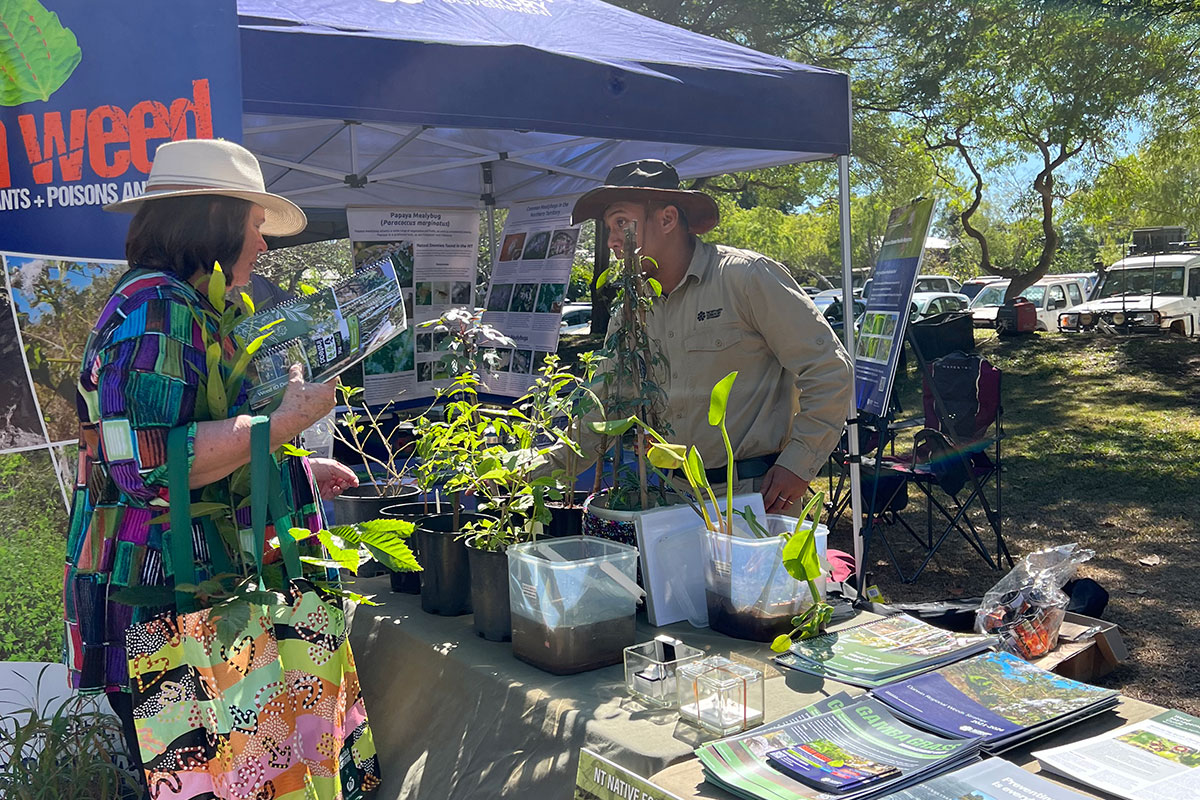 Weeds, bugs, and frisbees: the department takes on Eco-Fair 2024