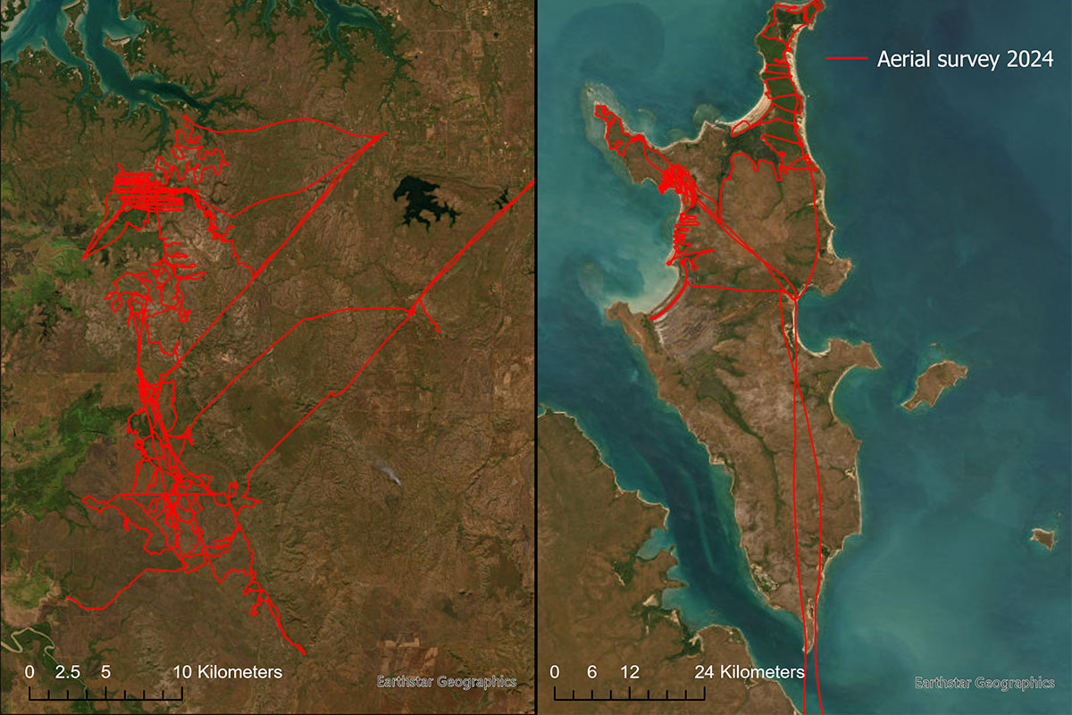 Figure 3. Aerial survey tracks 2024