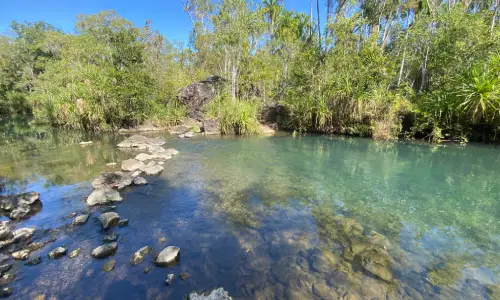 Berry Springs Nature Park.