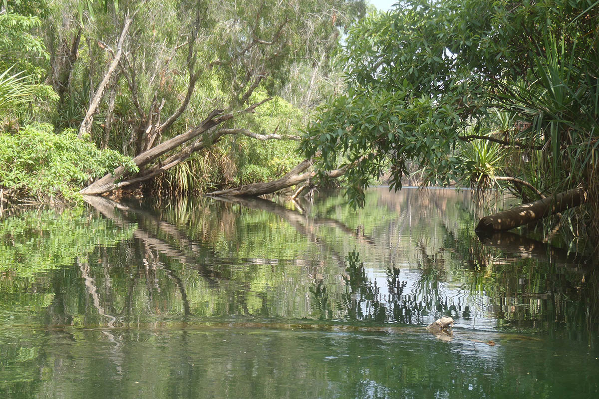 Recovery of unused licensed water