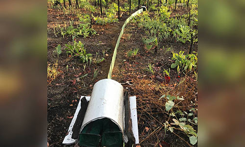 Mapping Nature for a Sustainable Future: The Greater Weddell Biodiversity Assessment