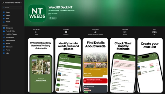 Screenshot from the Apple App Store of the new Weed ID Deck NT App.