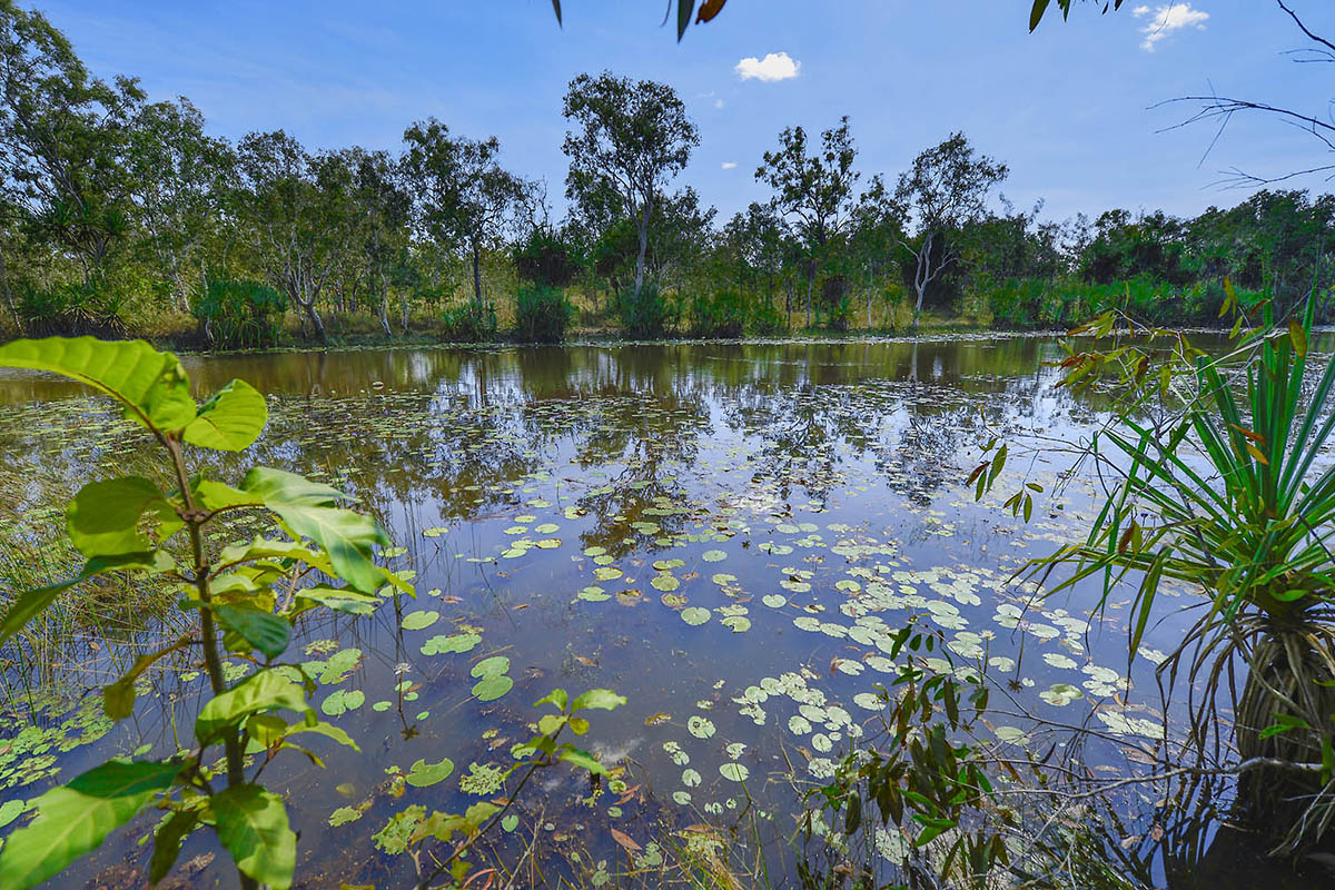 Water planning in the Northern Territory on track