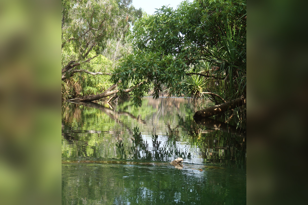 Understanding the Mataranka Water Allocation Plan