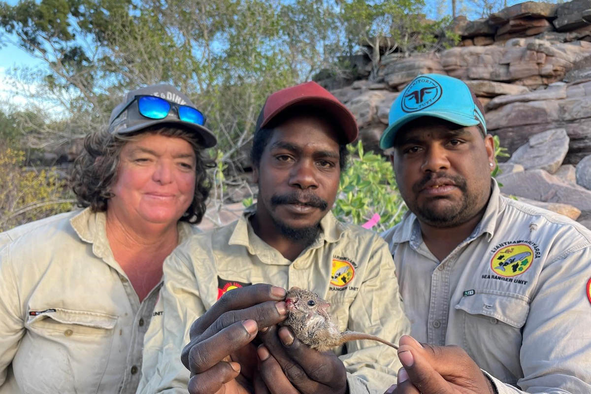 Maria Island small mammal survey 2023