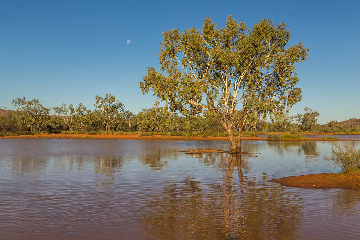 Approach to reforming water resource management laws