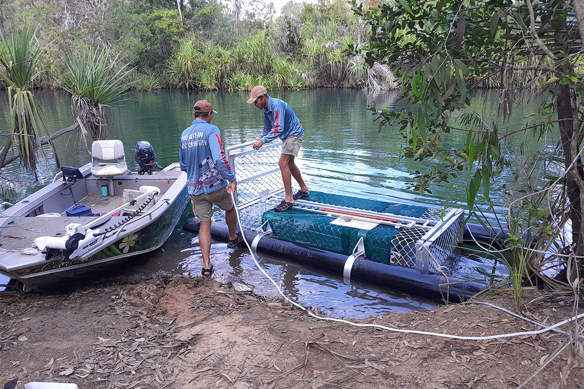 Crocodile Management Team members Kelly and Jaylen manoeuvre a crocodile trap into a safe position.