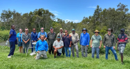 NSW - Byron Bay group
