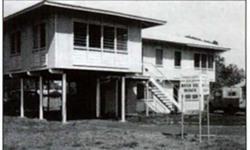 Water use branch in Cavanagh Street Darwin 1955.