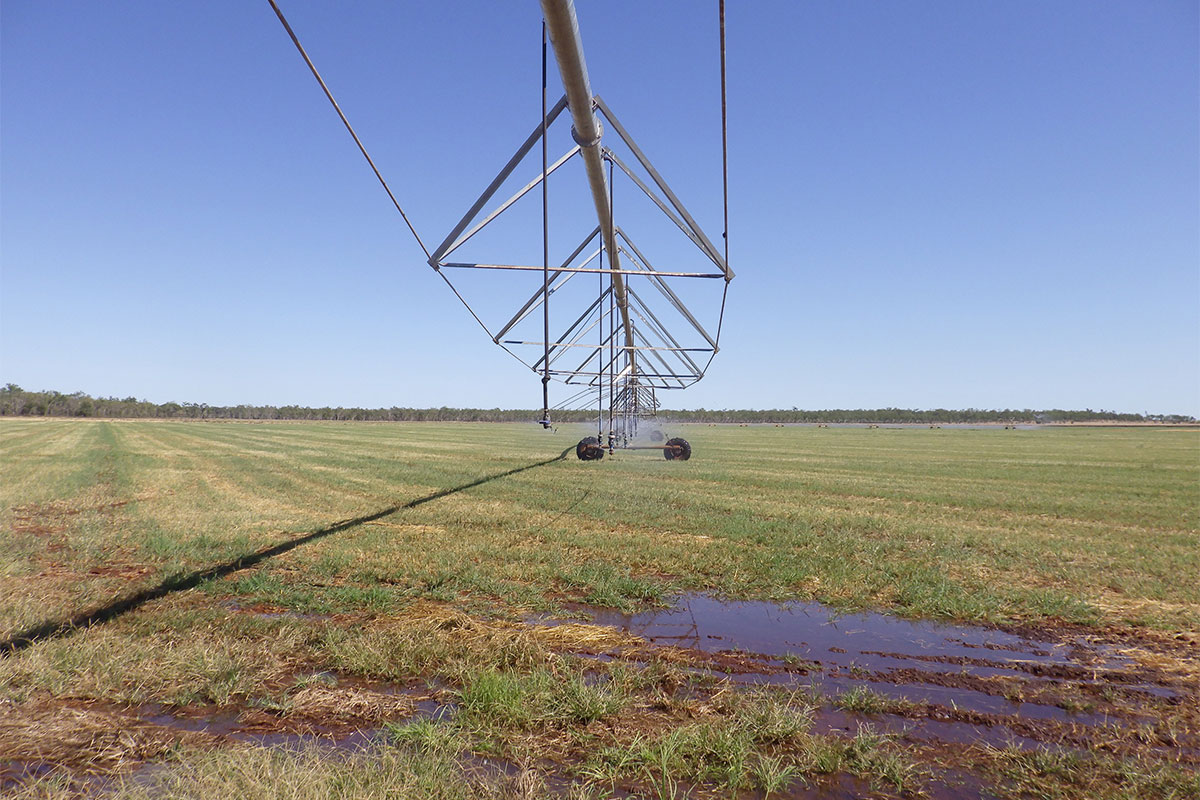 Over 6,000 megalitres of unused water recovered in Katherine