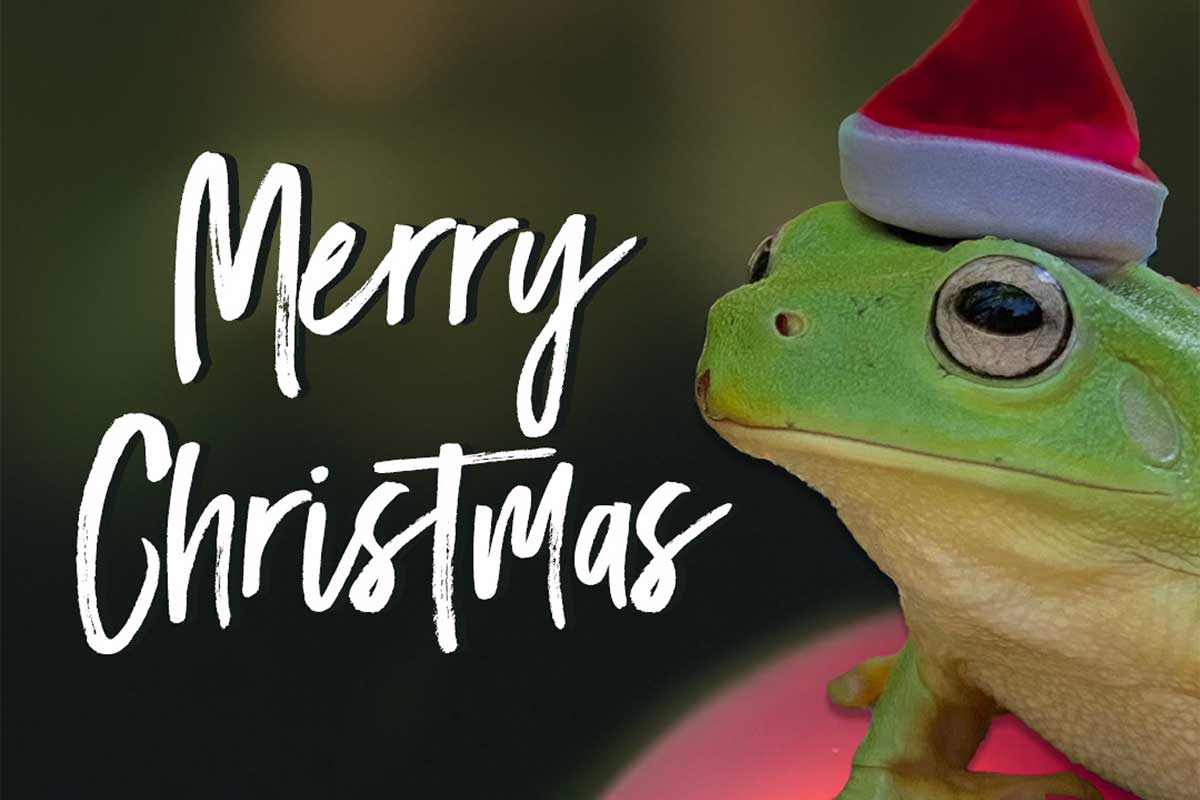 Wishing you and your family a happy and healthy festive season! 