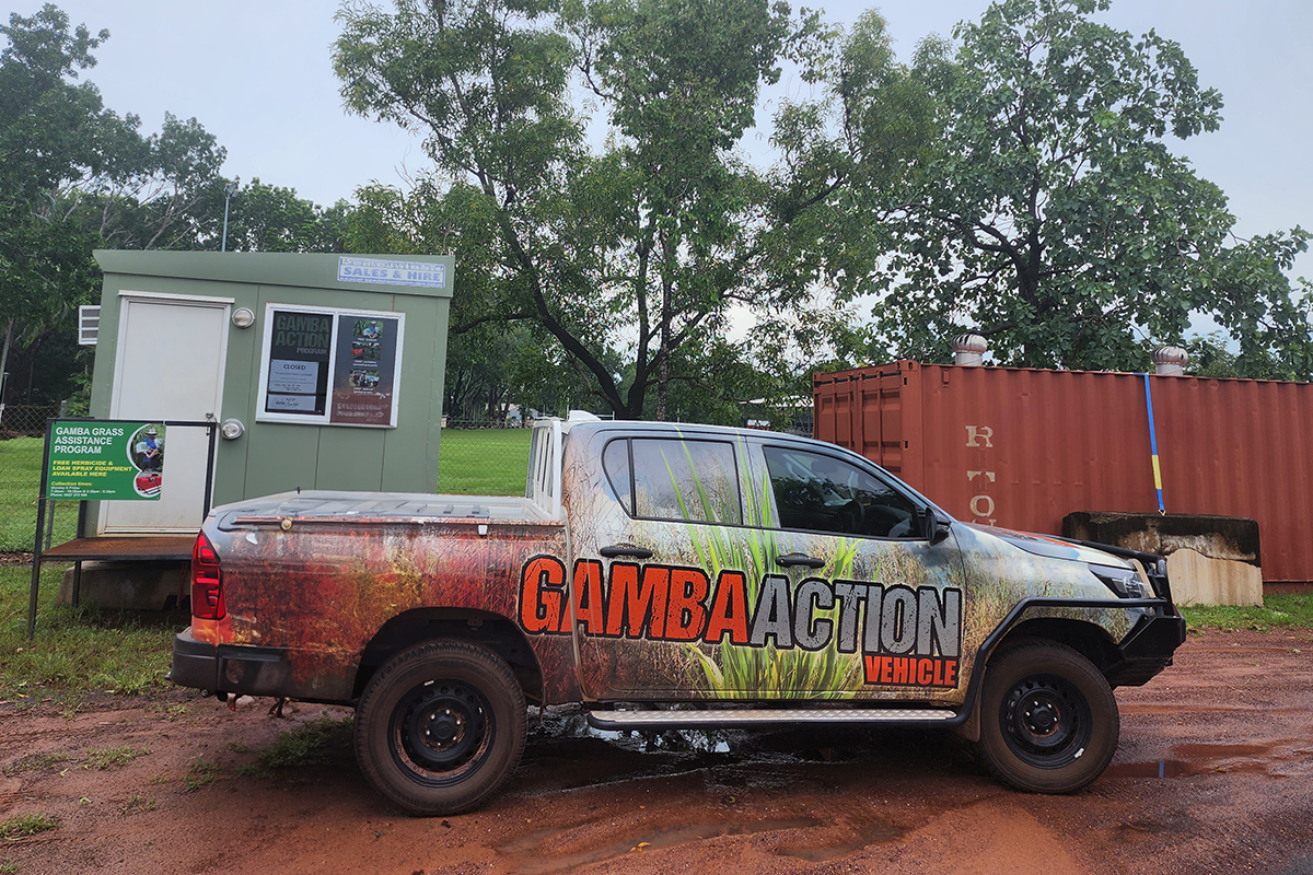 Gamba Action Program begins
