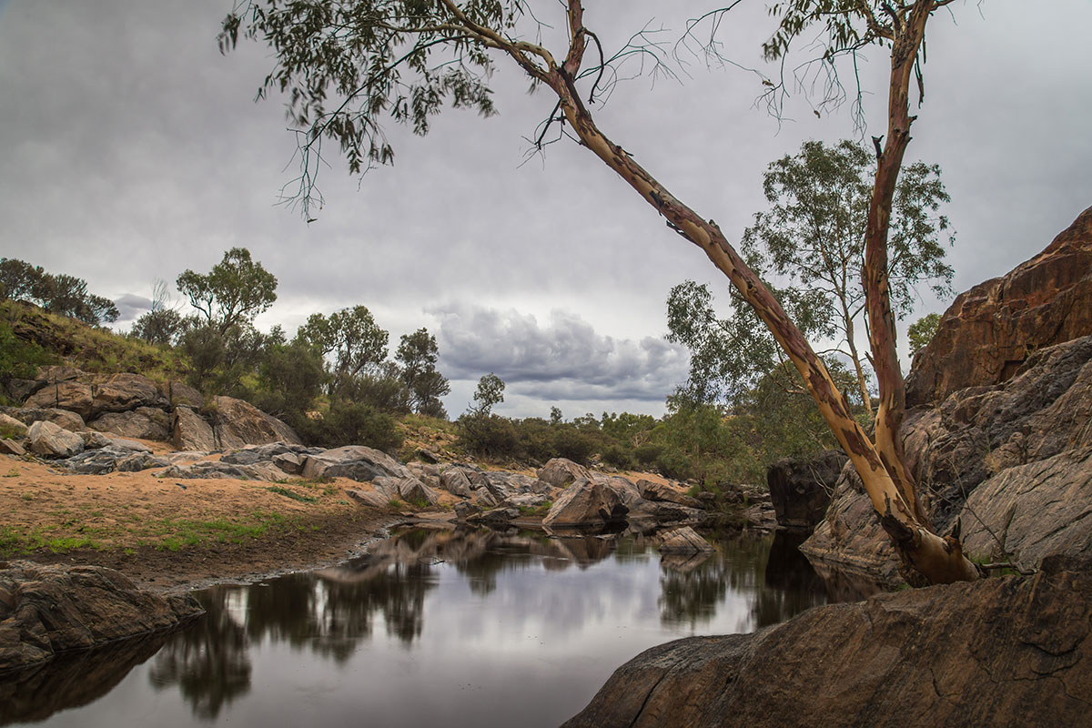 Junction Waterhole, Alice Springs