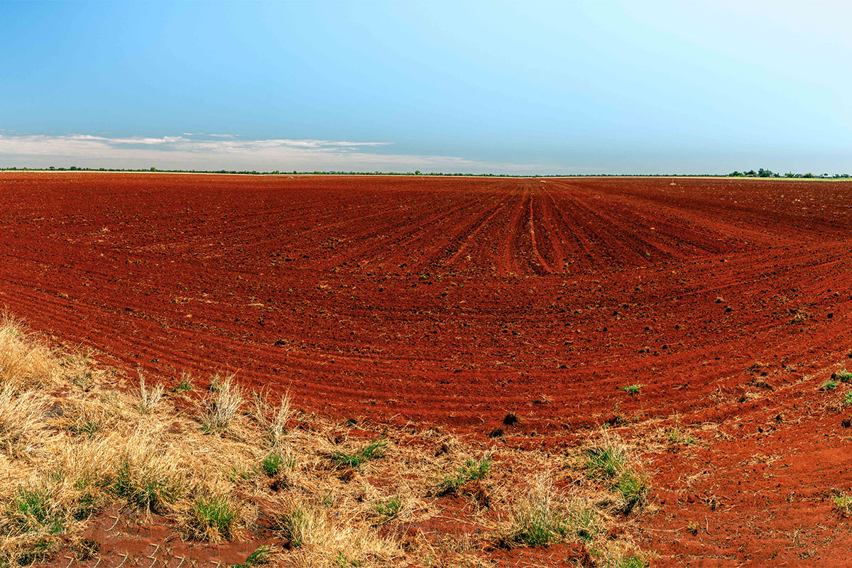 An area of land in the Ti Tree/Western Davenport region preparing for planting new crops.