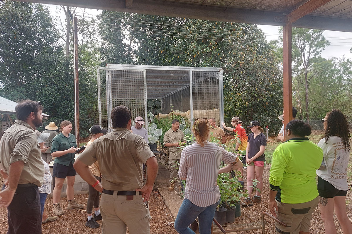 Gerald discussing Gall flies with the CDU students.
