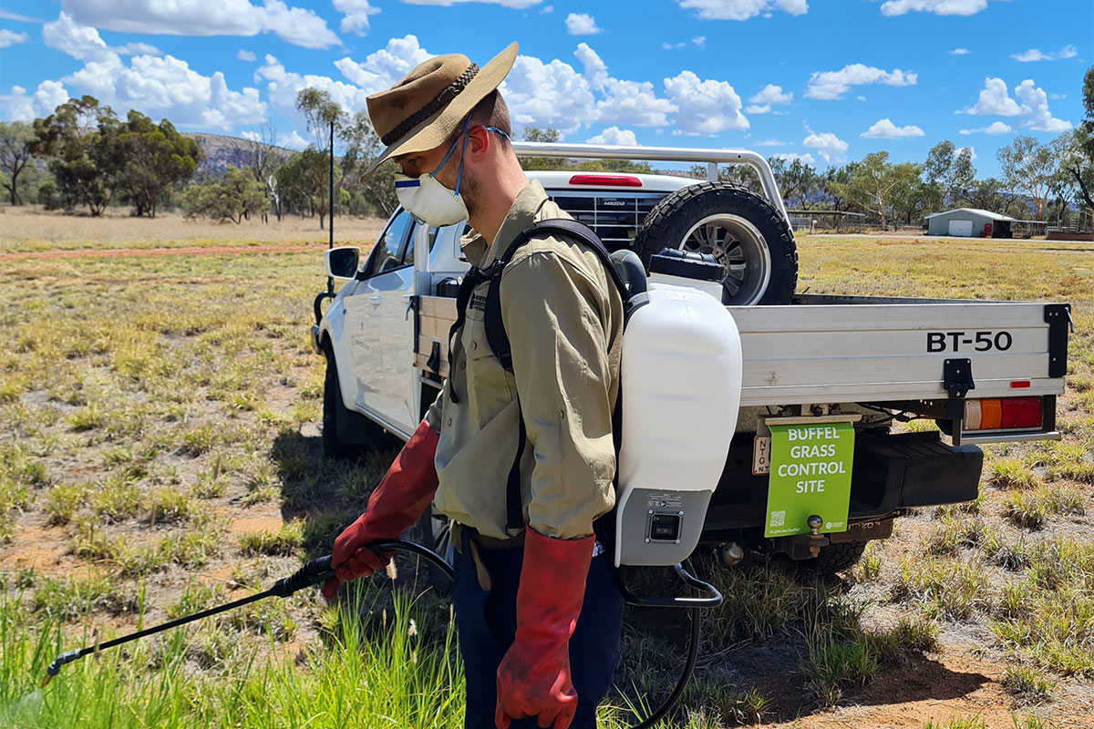 Into the weeds: Building Buffel management capacity.
